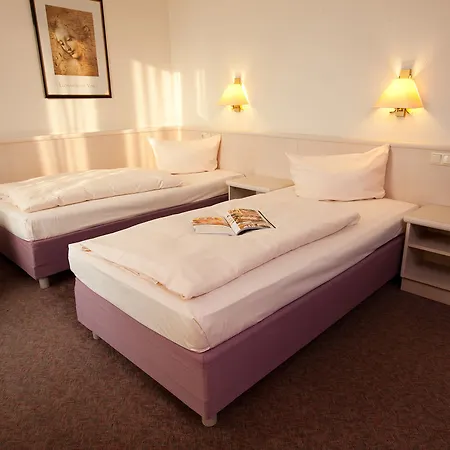 ホテル Carat Rheingau 4*