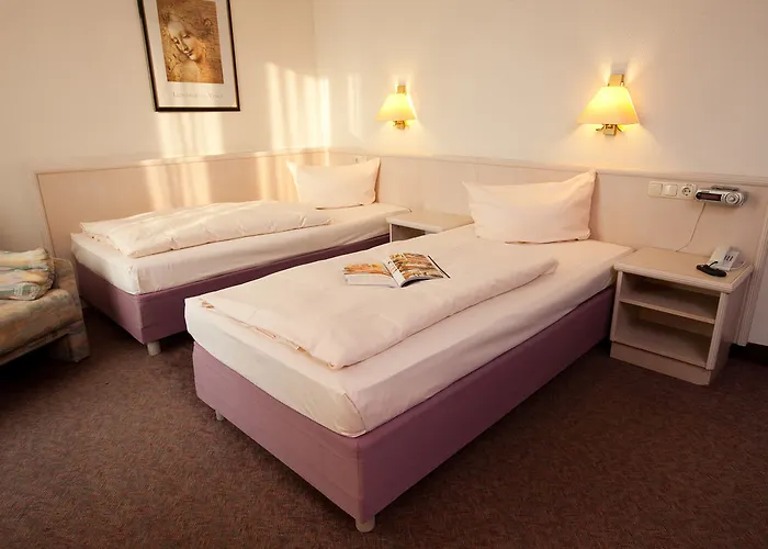 Отель Carat Rheingau 4*